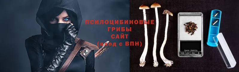 blacksprut сайт  Бор  Псилоцибиновые грибы Psilocybe 